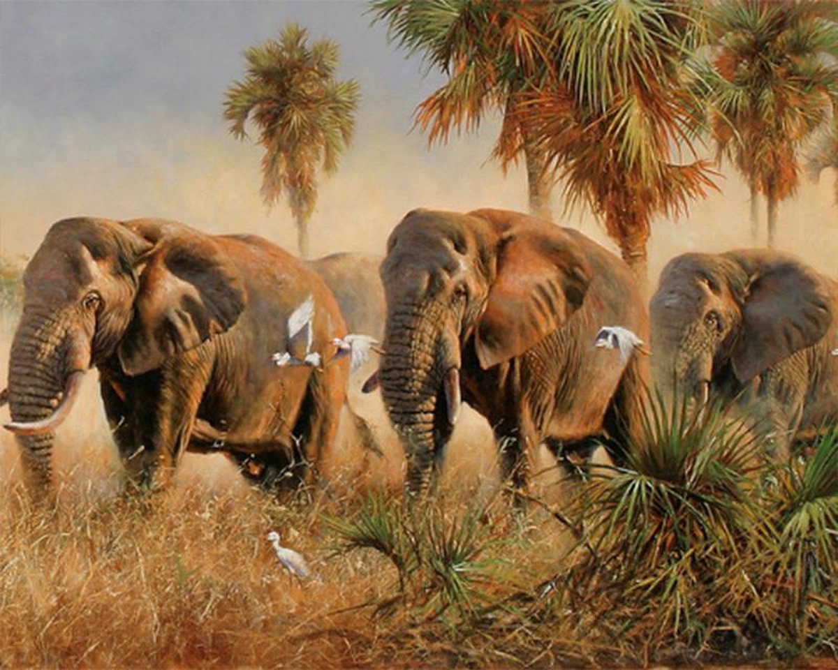 Schilderen op Nummer Volwassenen en Kinderen - Met Lijst, Opgespannen op Frame - Hobby Pakket Verven - Painting by Numbers Adults -  40x50 cm - Dieren, Olifant